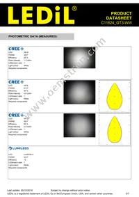 C11624_GT3-WW Datasheet Page 3