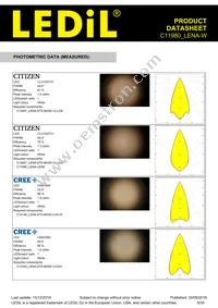 C11980_LENA-W Datasheet Page 8