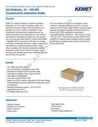 C1206C273G5JAC7800 Datasheet Cover