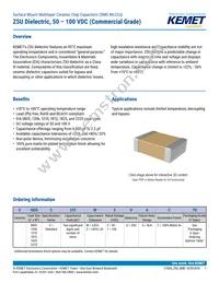 C1206C473Z5UACTU Datasheet Cover