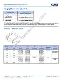 C1206C473Z5UACTU Datasheet Page 2