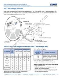 C1206H273J5GACT500 Datasheet Page 15