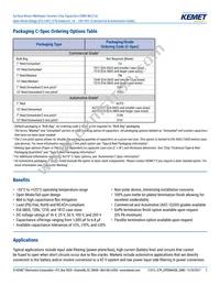 C1206J224K3RACAUTO Datasheet Page 2