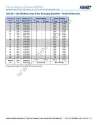 C1206J224K3RACAUTO Datasheet Page 10