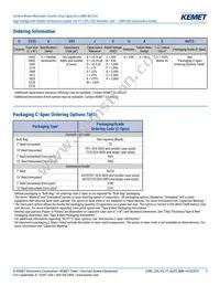C1206X102JBGACAUTO Datasheet Page 2
