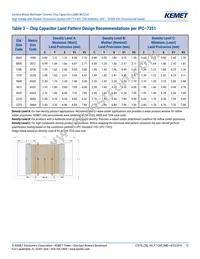 C1206X300JDGACTU Datasheet Page 12