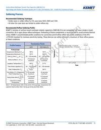 C1206X300JDGACTU Datasheet Page 13