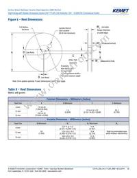 C1206X300JDGACTU Datasheet Page 20