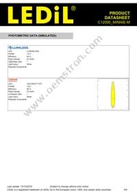 C12095_MINNIE-M Datasheet Page 5