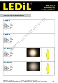 C12287_ANGIE-M2 Datasheet Page 3