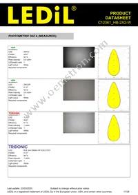 C12361_HB-2X2-W Datasheet Page 17