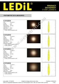 C12597_LENINA-S Datasheet Page 11