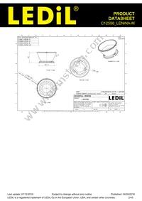 C12598_LENINA-M Datasheet Page 2