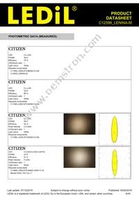 C12598_LENINA-M Datasheet Page 6