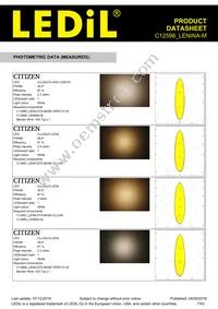 C12598_LENINA-M Datasheet Page 7