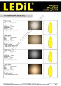 C12598_LENINA-M Datasheet Page 9