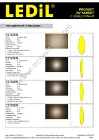 C12598_LENINA-M Datasheet Page 10