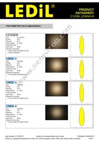 C12598_LENINA-M Datasheet Page 12