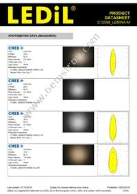 C12598_LENINA-M Datasheet Page 13