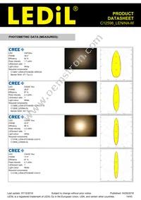 C12598_LENINA-M Datasheet Page 14