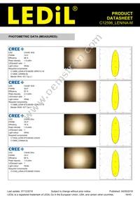 C12598_LENINA-M Datasheet Page 16