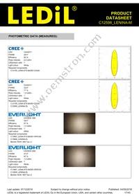 C12598_LENINA-M Datasheet Page 17