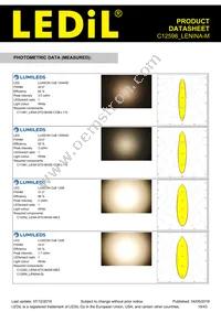 C12598_LENINA-M Datasheet Page 19