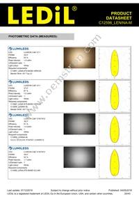 C12598_LENINA-M Datasheet Page 20