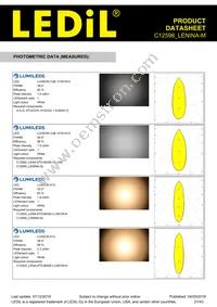 C12598_LENINA-M Datasheet Page 21