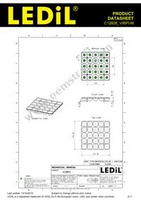 C12608_VIRPI-M Datasheet Page 2