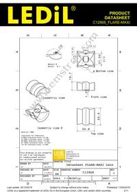 C12868_FLARE-MAXI Datasheet Page 2