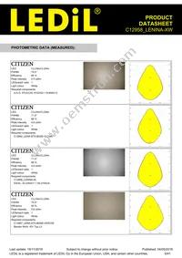 C12958_LENINA-XW Datasheet Page 9