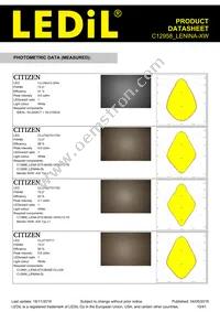 C12958_LENINA-XW Datasheet Page 10