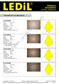 C12958_LENINA-XW Datasheet Page 11