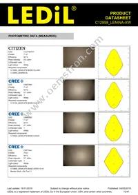 C12958_LENINA-XW Datasheet Page 12