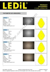 C12958_LENINA-XW Datasheet Page 13