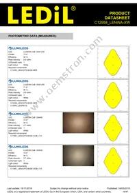 C12958_LENINA-XW Datasheet Page 19