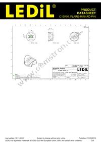 C13016_FLARE-MINI-AD-PIN Datasheet Page 2