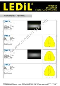 C13016_FLARE-MINI-AD-PIN Datasheet Page 3