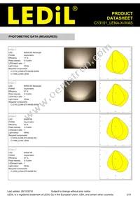 C13101_LENA-X-WAS Datasheet Page 2