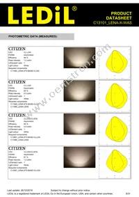 C13101_LENA-X-WAS Datasheet Page 5