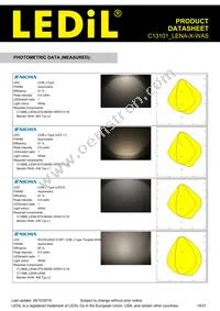 C13101_LENA-X-WAS Datasheet Page 19