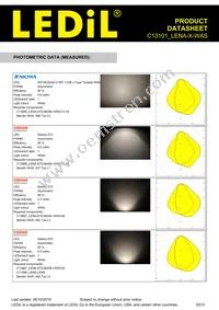 C13101_LENA-X-WAS Datasheet Page 20