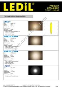 C13117_LENA-SS Datasheet Page 12