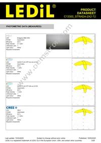 C13300_STRADA-2X2-T2 Datasheet Page 3