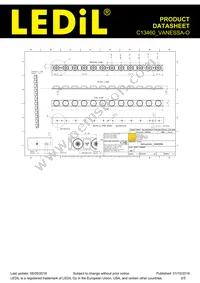 C13460_VANESSA-O Datasheet Page 2