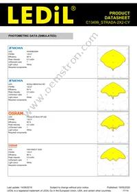 C13499_STRADA-2X2-CY Datasheet Page 17