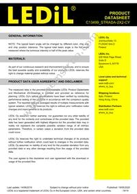 C13499_STRADA-2X2-CY Datasheet Page 19