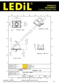 C13500_STRADA-T-DW Datasheet Page 2