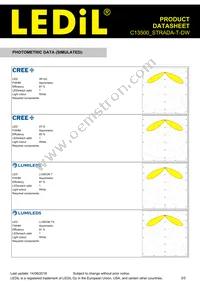 C13500_STRADA-T-DW Datasheet Page 3